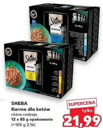 Kaufland SHEBA Karma dla kotów różne rodzaje oferta