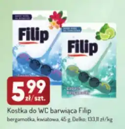 Avita Kostka do WC barwiąca Filip oferta