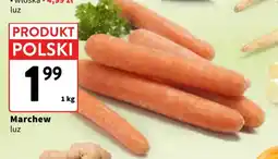 Intermarche Marchew luz oferta