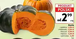 Intermarche Dynia oferta