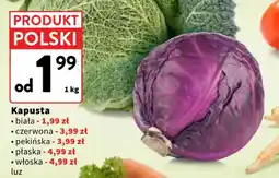 Intermarche Kapusta oferta