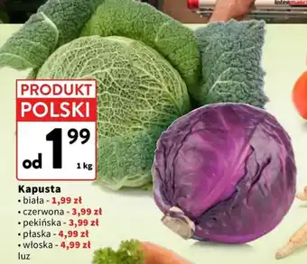 Intermarche Kapusta oferta