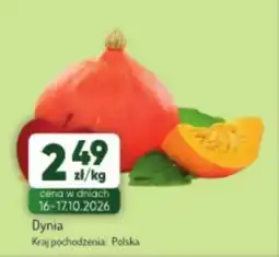 Avita Dynia oferta