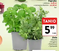 Intermarche Zioła oferta