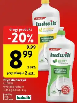 Intermarche Płyn do naczyń LUDWIK oferta