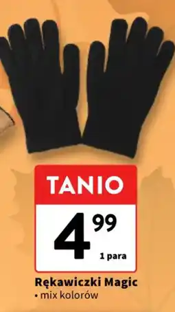 Intermarche Rękawiczki Magic oferta