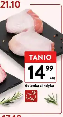 Intermarche Golonka z indyka oferta