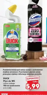 Kaufland Płyn do WC Duck oferta