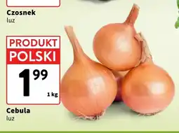 Intermarche Cebula oferta