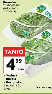 Intermarche Rukola Z Sadów i Pól oferta