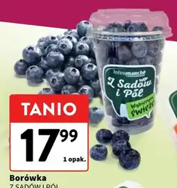 Intermarche Borówka Z Sadów i Pól oferta