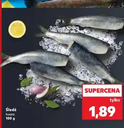 Kaufland Śledź oferta