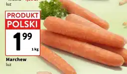Intermarche Marchew oferta