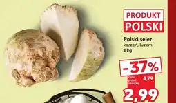 Kaufland Seler Polski oferta