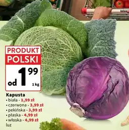Intermarche Kapusta biała oferta