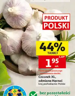 Auchan Czosnek Harnaś oferta