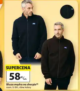 Auchan Bluza męska oferta
