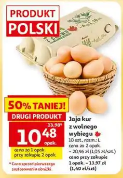 Auchan Jaja kur z wolnego wybiegu oferta