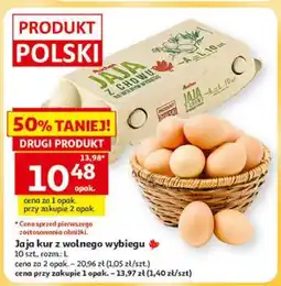 Auchan Jaja kur z wolnego wybiegu oferta