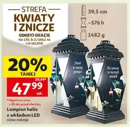 Auchan Lampion kalie z wkładem LED oferta