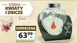 Auchan Znicz solarny z podstawką oferta