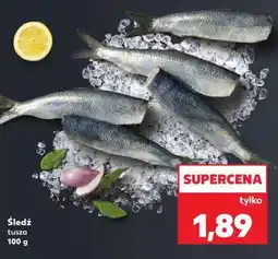 Kaufland Śledź tusza 100 g oferta