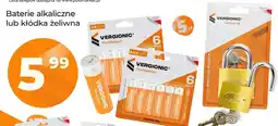 Polomarket Baterie alkaliczne Vergionic oferta