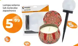 Polomarket Lampa solarna Vergionic oferta