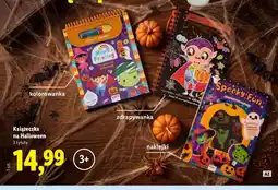 Lidl Książeczka na Halloween kolorowanka Bookoli oferta