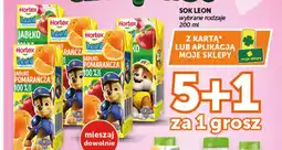 Groszek Sok Leon oferta