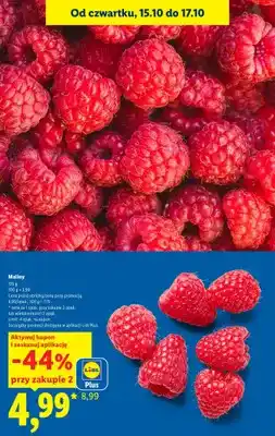 Lidl Maliny oferta