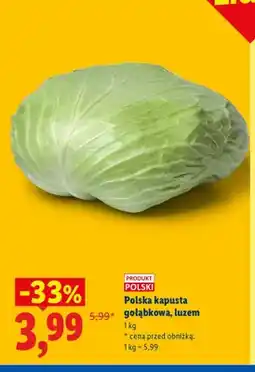 Lidl Polska kapusta gołąbkowa luzem oferta