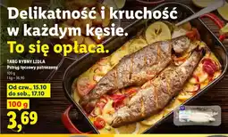 Lidl Pstrąg tęczowy patroszony Targ Rybny Lidla oferta