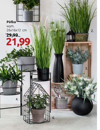 Black Red White Półka oferta
