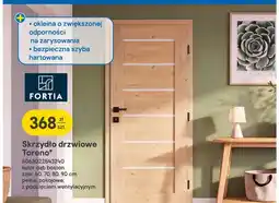 Castorama Skrzydło drzwiowe Toreno Fortia oferta