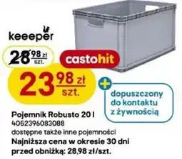 Castorama Pojemnik Robusto oferta