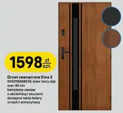 Castorama Drzwi zewnętrzne Etna 2 oferta