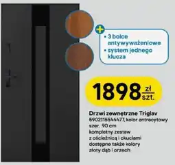 Castorama Drzwi zewnętrzne Triglav oferta