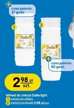 Castorama Wkład do znicza Dalia light oferta