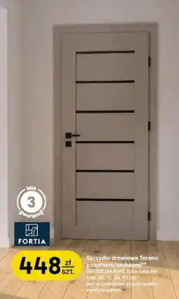 Castorama Skrzydło drzwiowe Toreno z czarnymi szybkami Fortia oferta