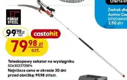 Castorama Teleskopowy sekator na wysięgniku oferta
