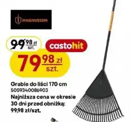Castorama Grabie do liści 170 cm oferta