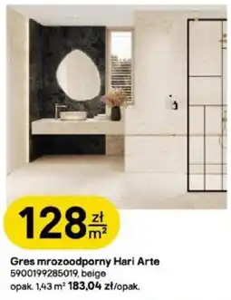 Castorama Gres mrozoodporny Hari Arte oferta