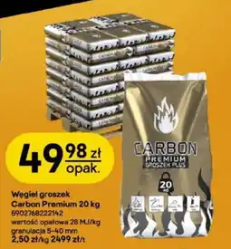Castorama Węgiel groszek Carbon Premium oferta
