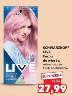 Kaufland SCHWARZKOPF Live oferta
