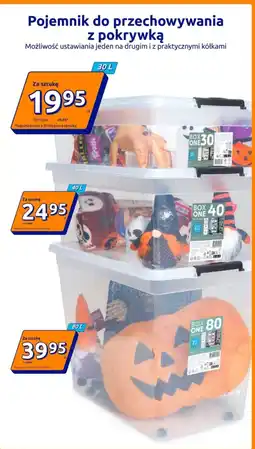 Action Pojemnik do przechowywania z pokrywką oferta