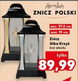 Kaufland Znicz Alba Krzyż oferta