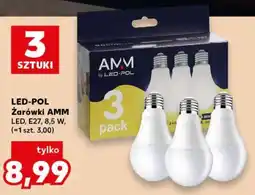 Kaufland LED-POL Żarówki AMM oferta