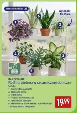 ALDI GARDENLINE oferta