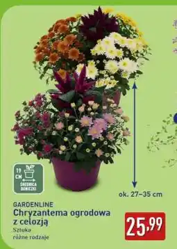 ALDI GARDENLINE oferta